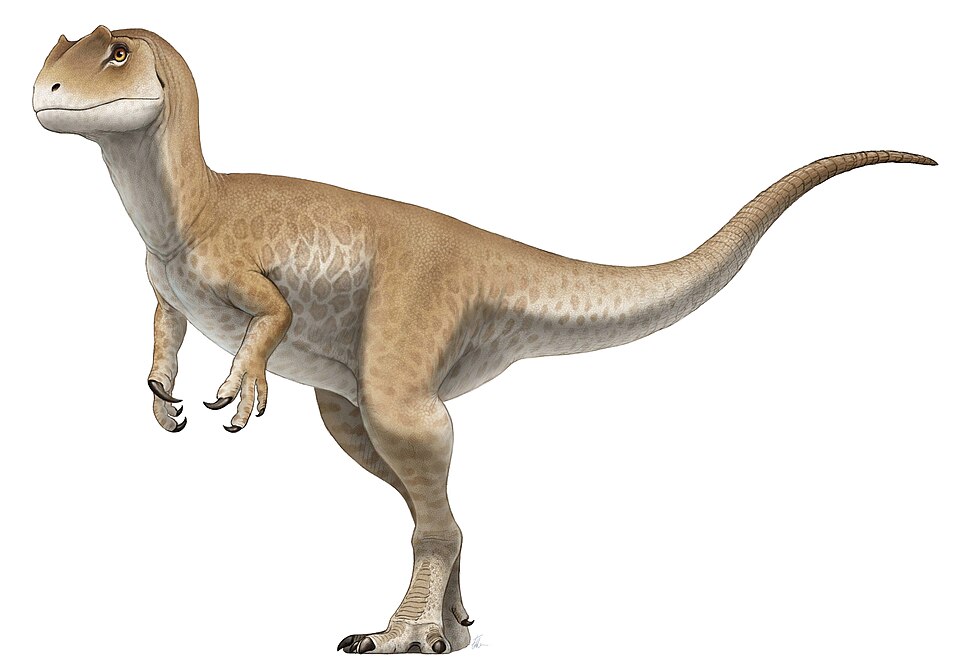 Artist's life restoration of Allosaurus