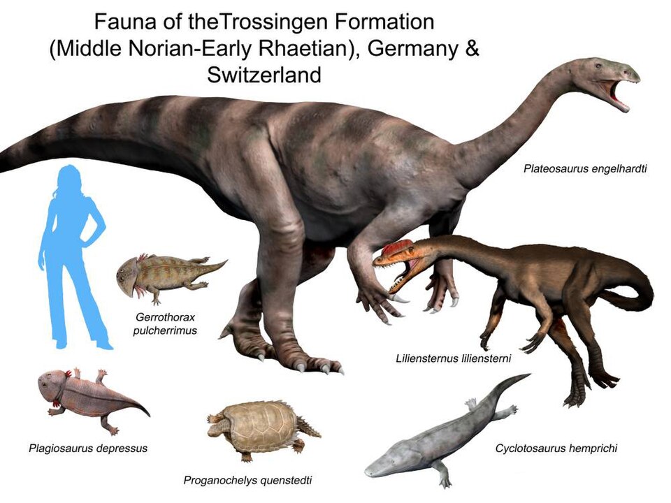 Artist's life restoration of Plateosaurus